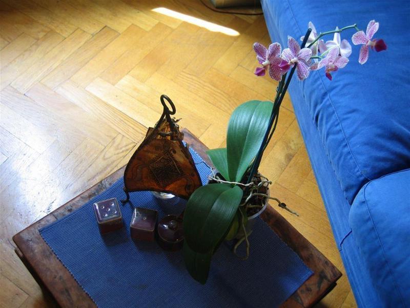 Maria-rosa Hotel